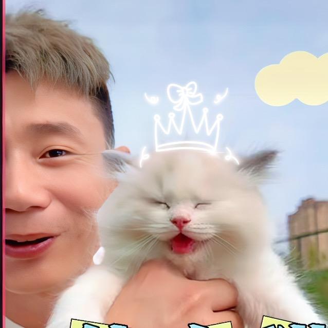 小五和猫