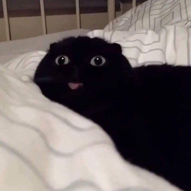 赵👨