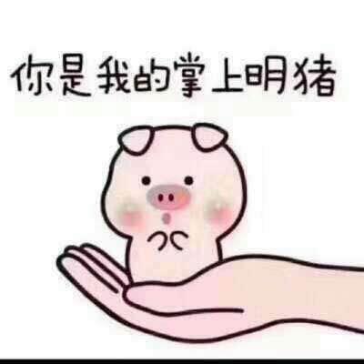 路哥上线✌️