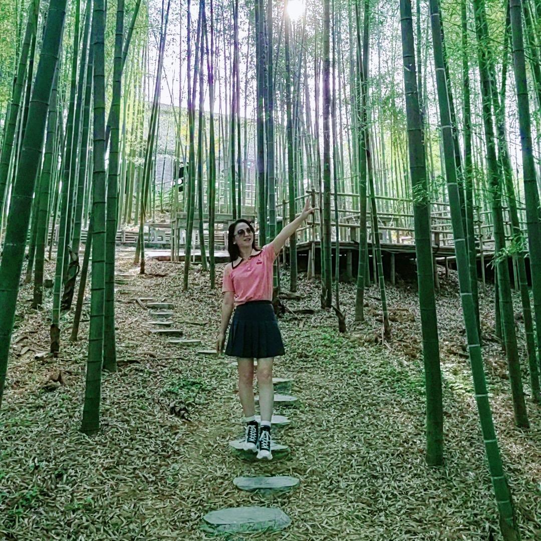 清心小园