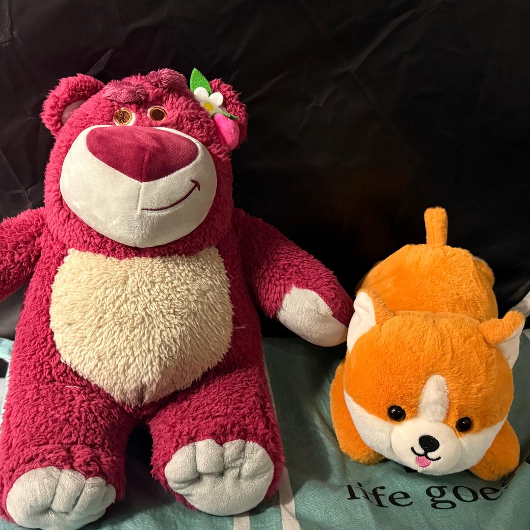 对不起的方便面🍜