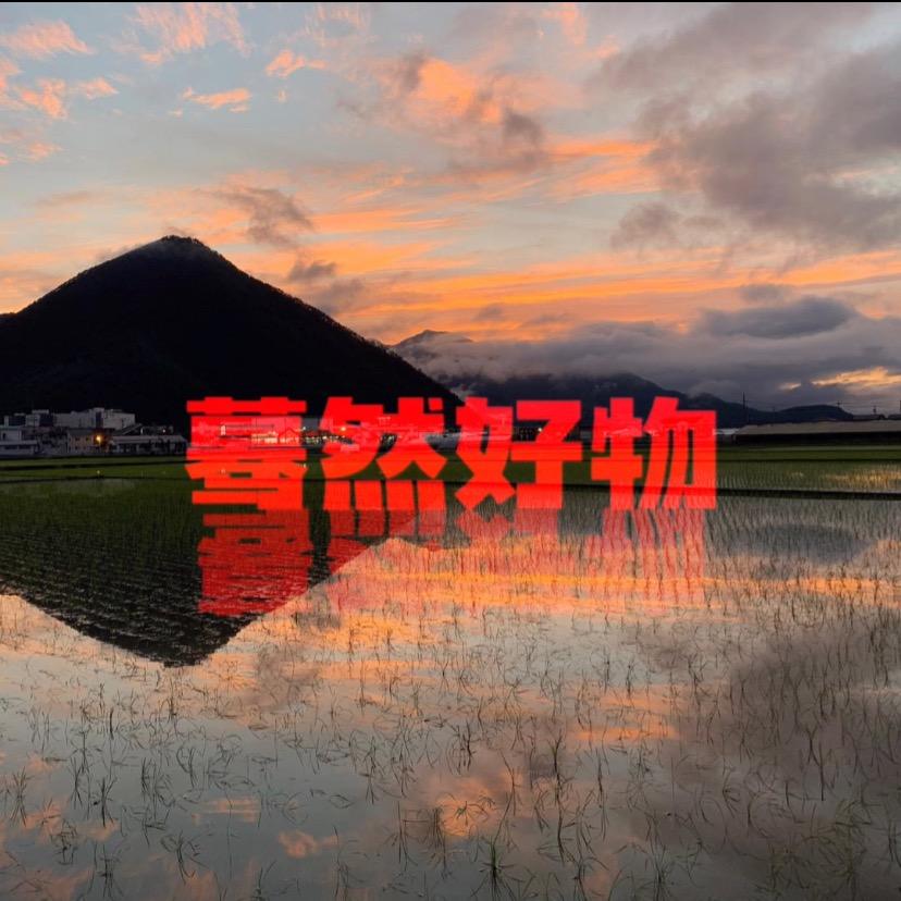蓦然好物