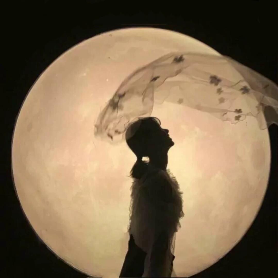 柒柒茶