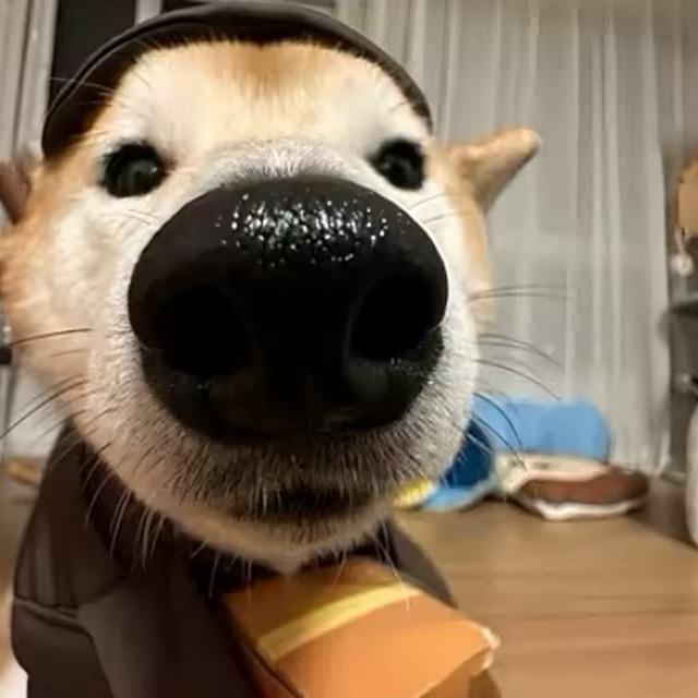 小熊软糖