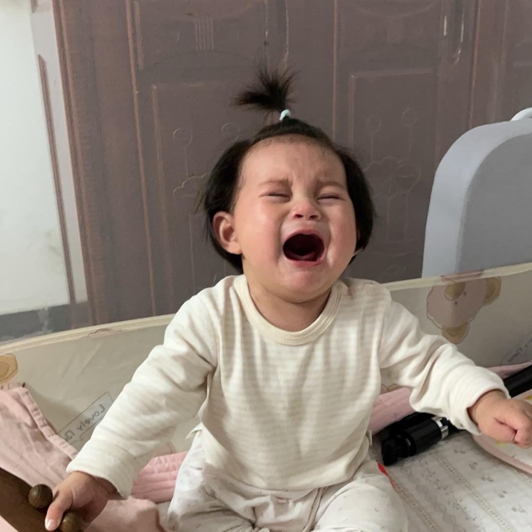 淡黄来了