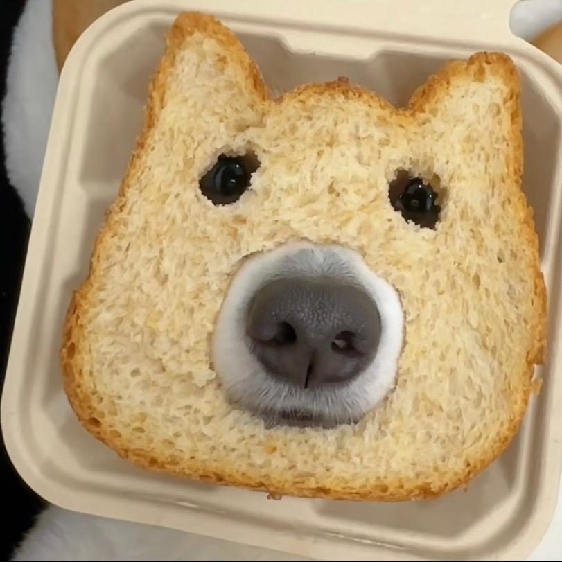 哈ha