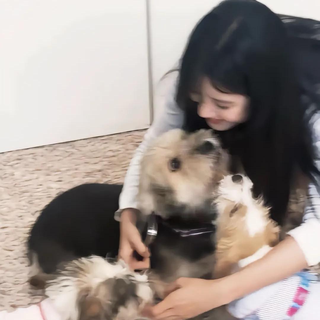 小倪吃饱饱
