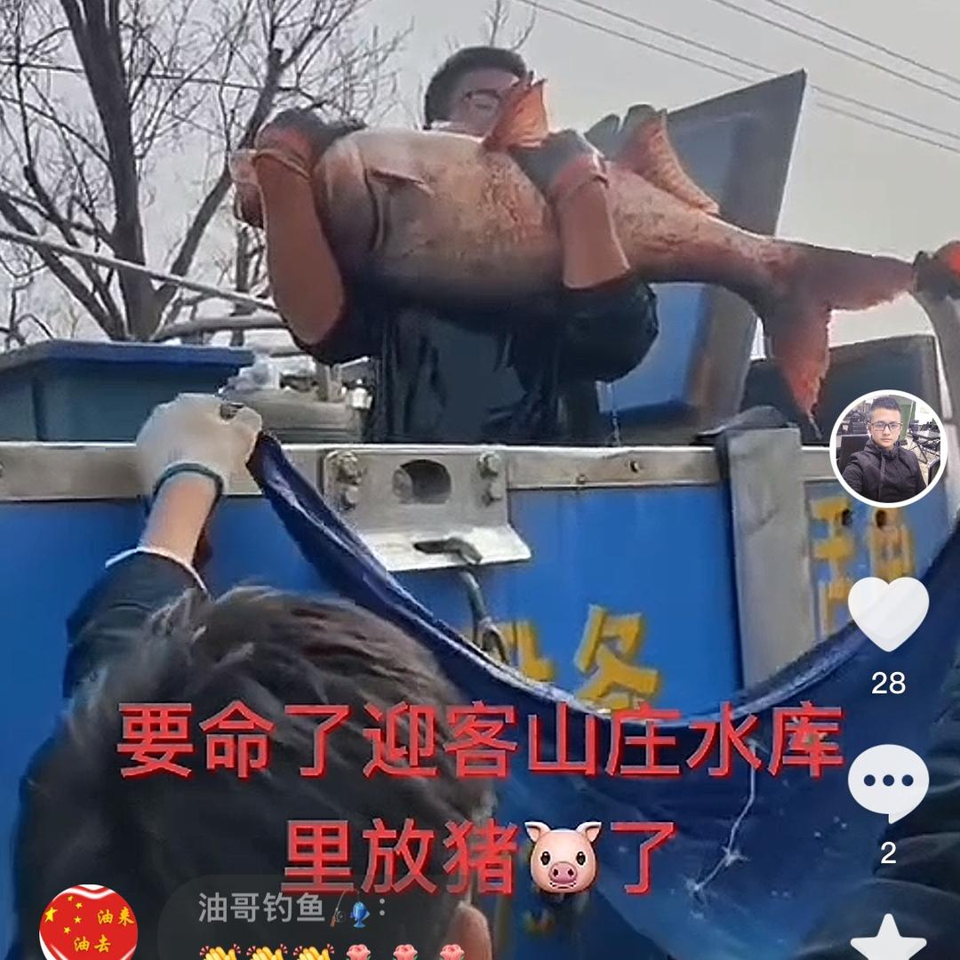 迎客山庄鲢鳙钓场～承接托管运营合作