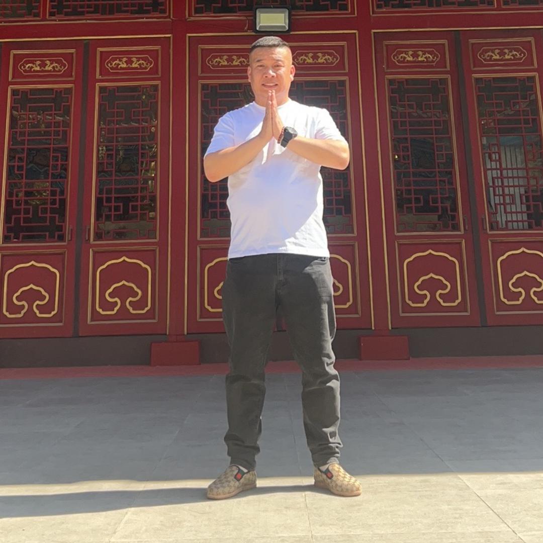 铁岭王龙