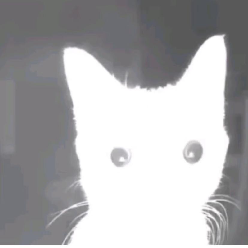 江汝