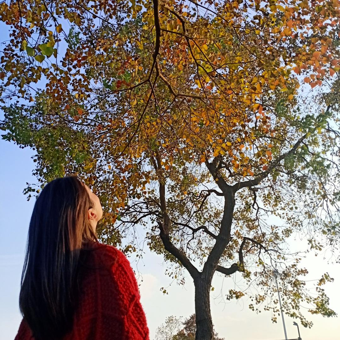 一只暖暖的团子