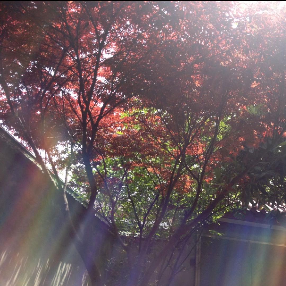 风雨彩虹🌈🌈
