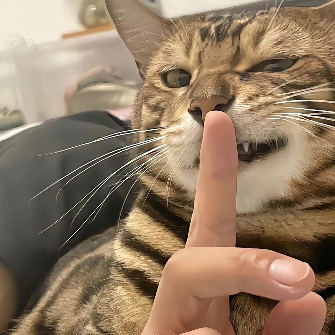 还在7️⃣待什么