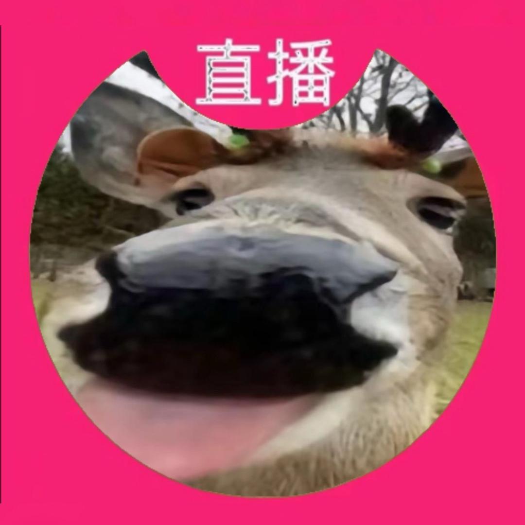 面猫.>x<