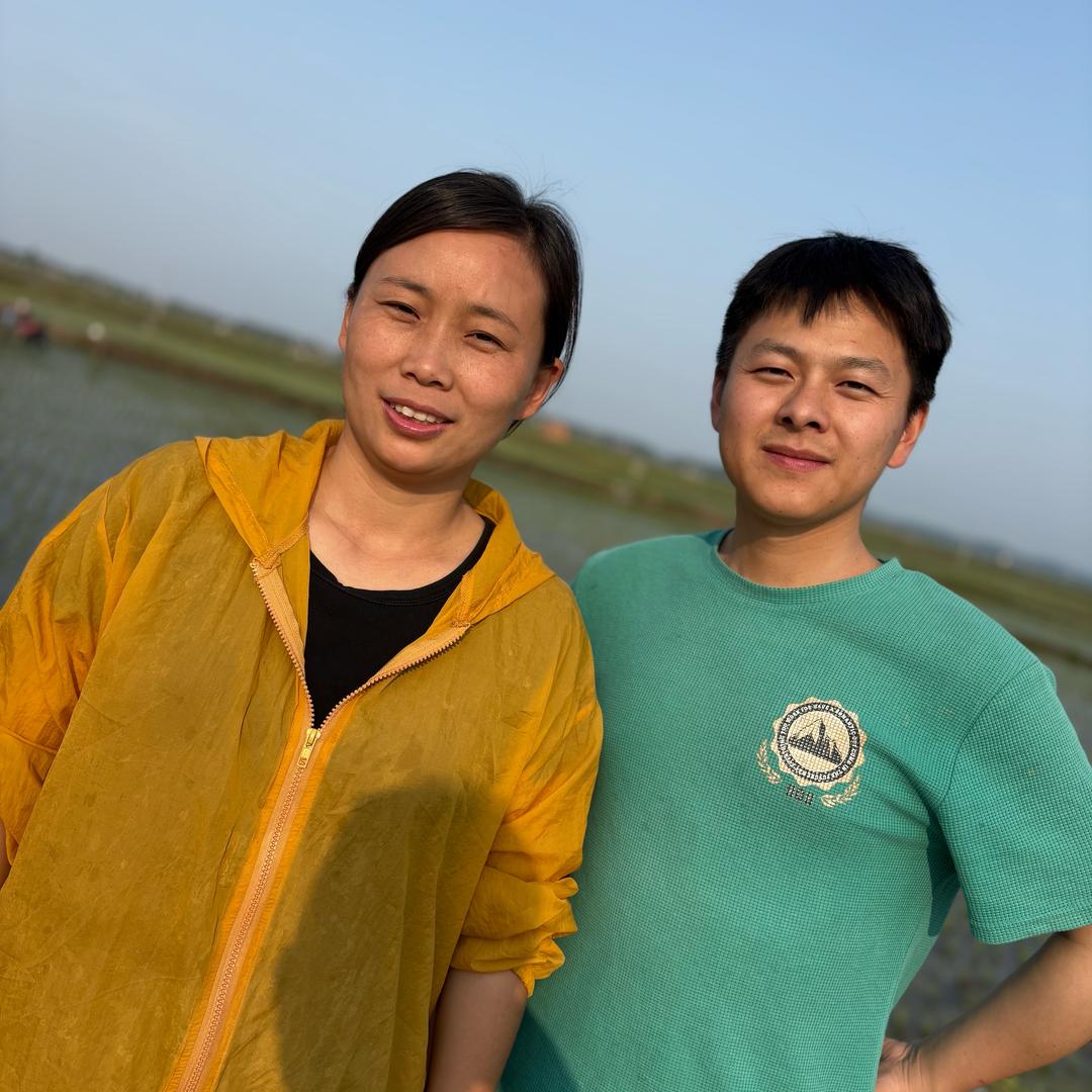 叫我金凤（表弟阿进）