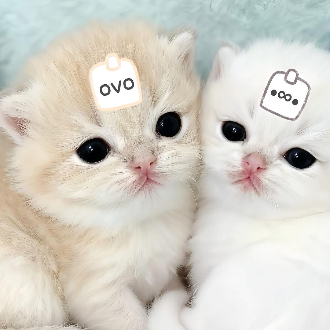 ^小陆^੭
