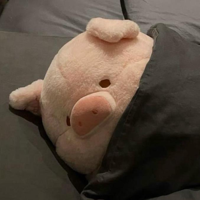 ☾⋆⁺星星 ʸᵇ🐾