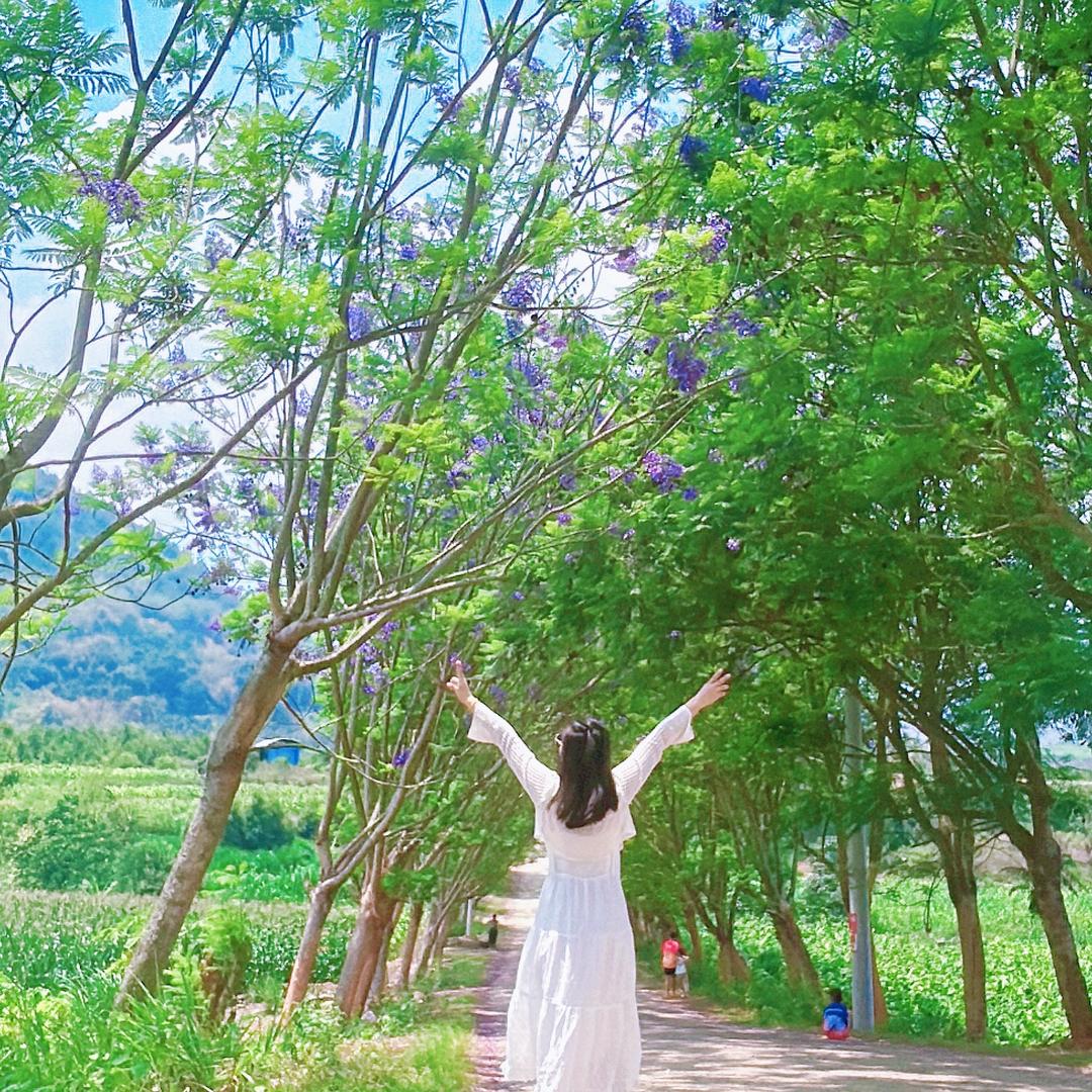 小静静同学❤️
