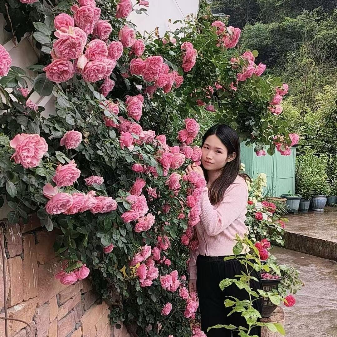 粥一