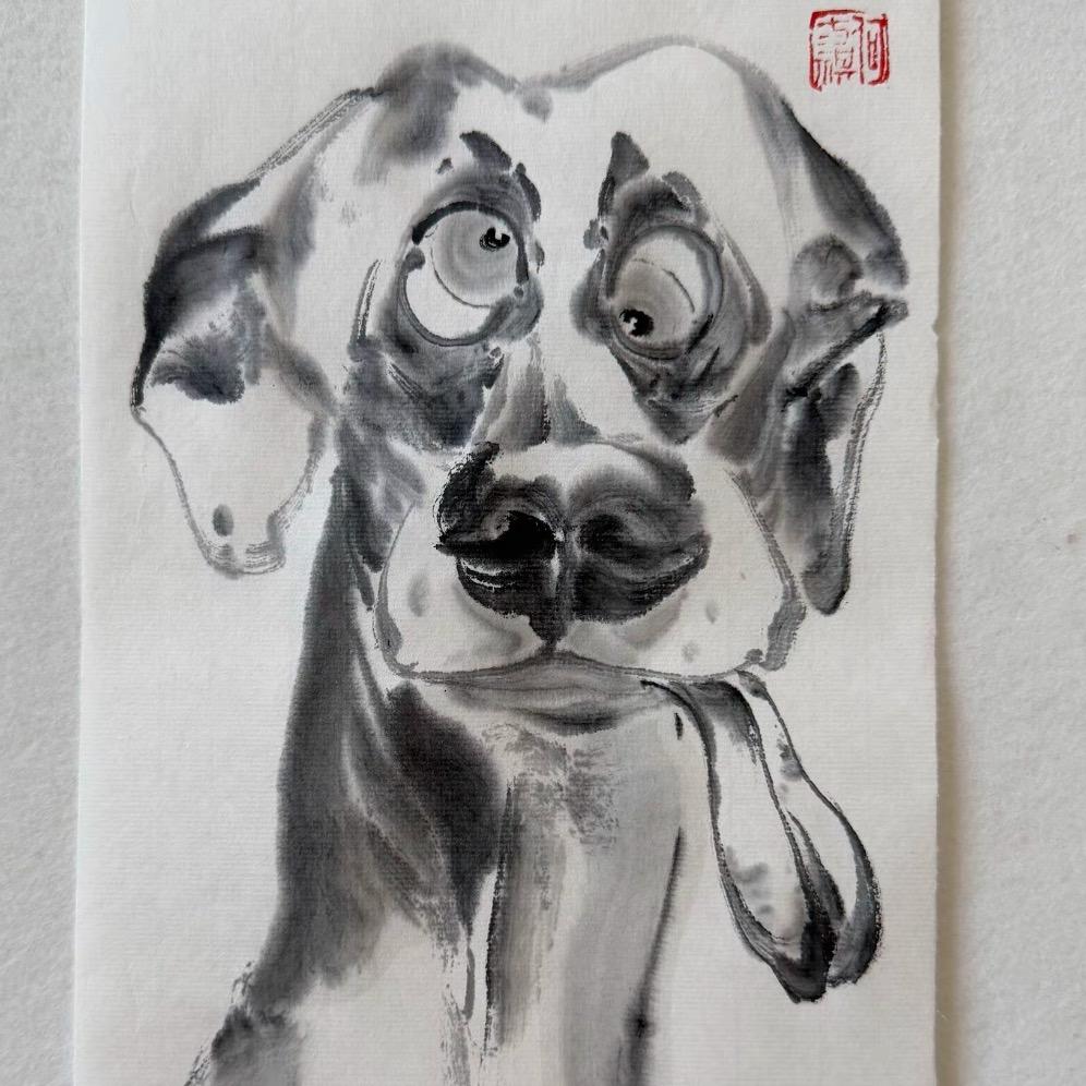 杜宾鸭