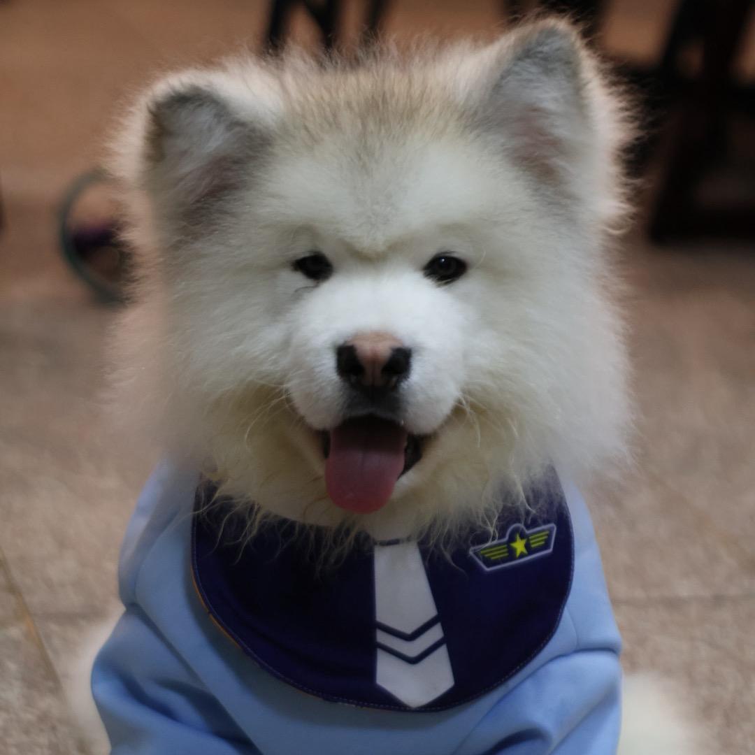 隐竹干饭王图图