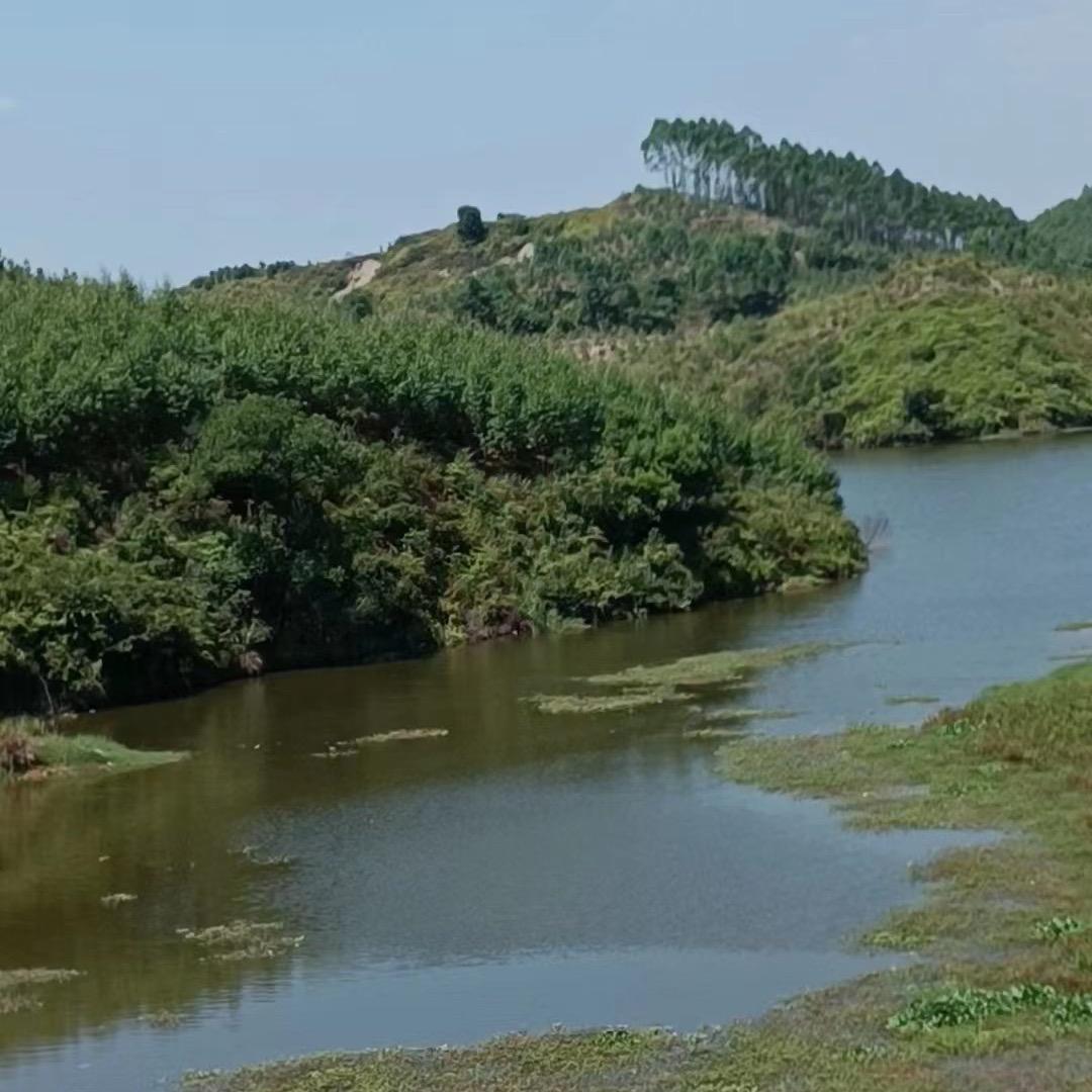 🎆新年快乐🧨