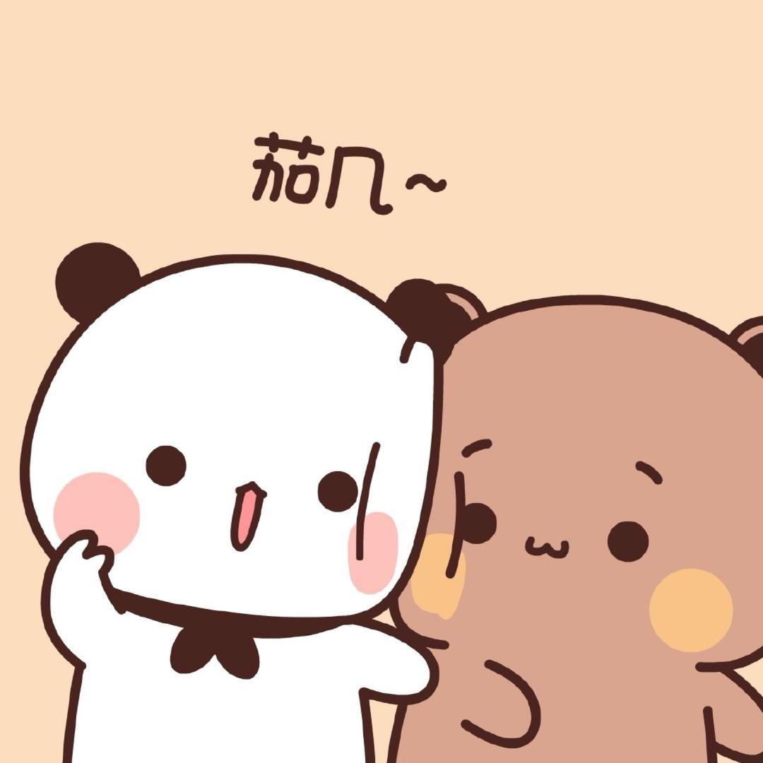 毛毛日记