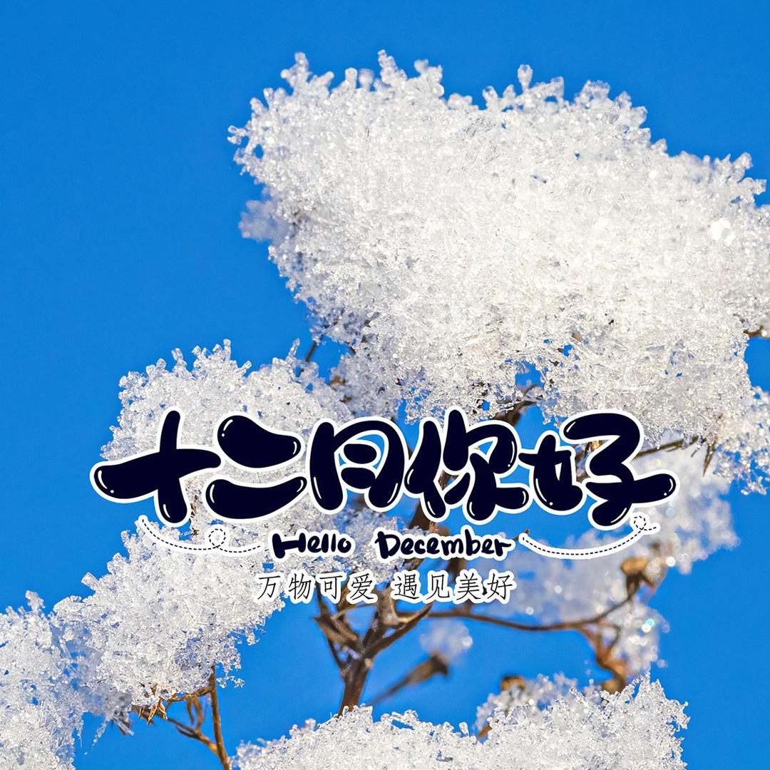 月下独酌