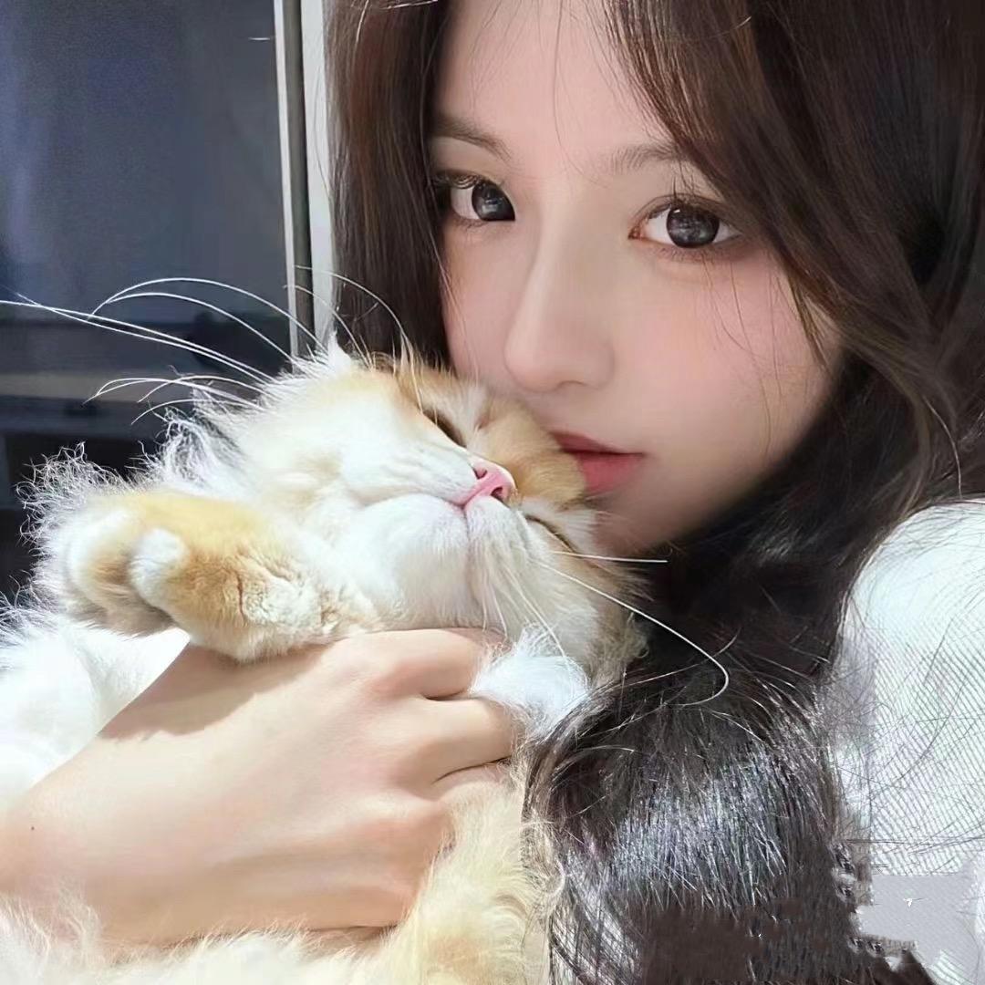 小菜老师