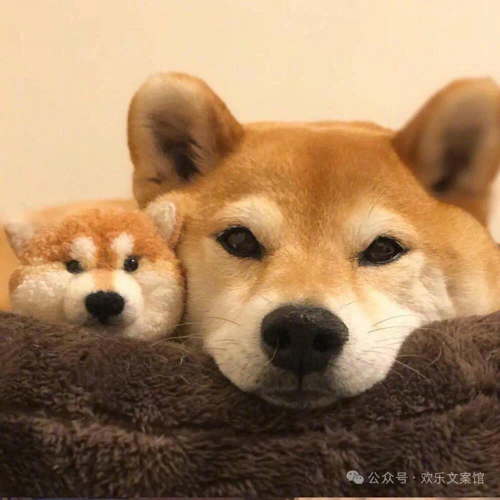 🤓 一耶✌暴富