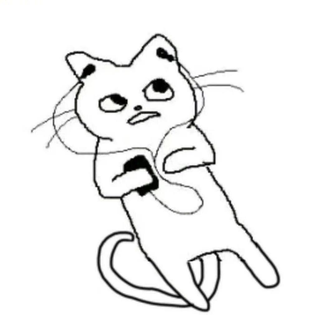 美人（学习版）