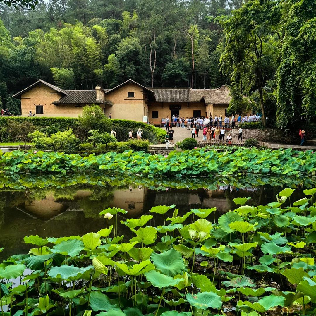 韶山旅游推荐大使