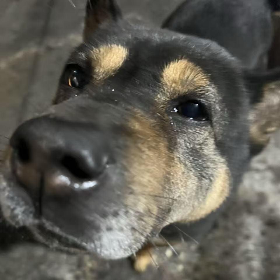 打火机（回c补前三