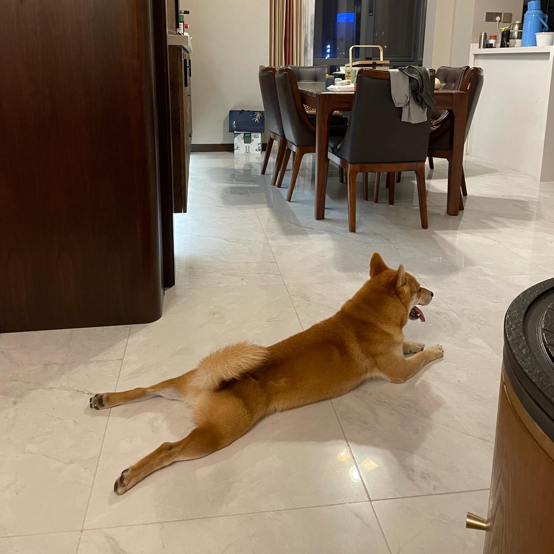 漆黑的虎克大人