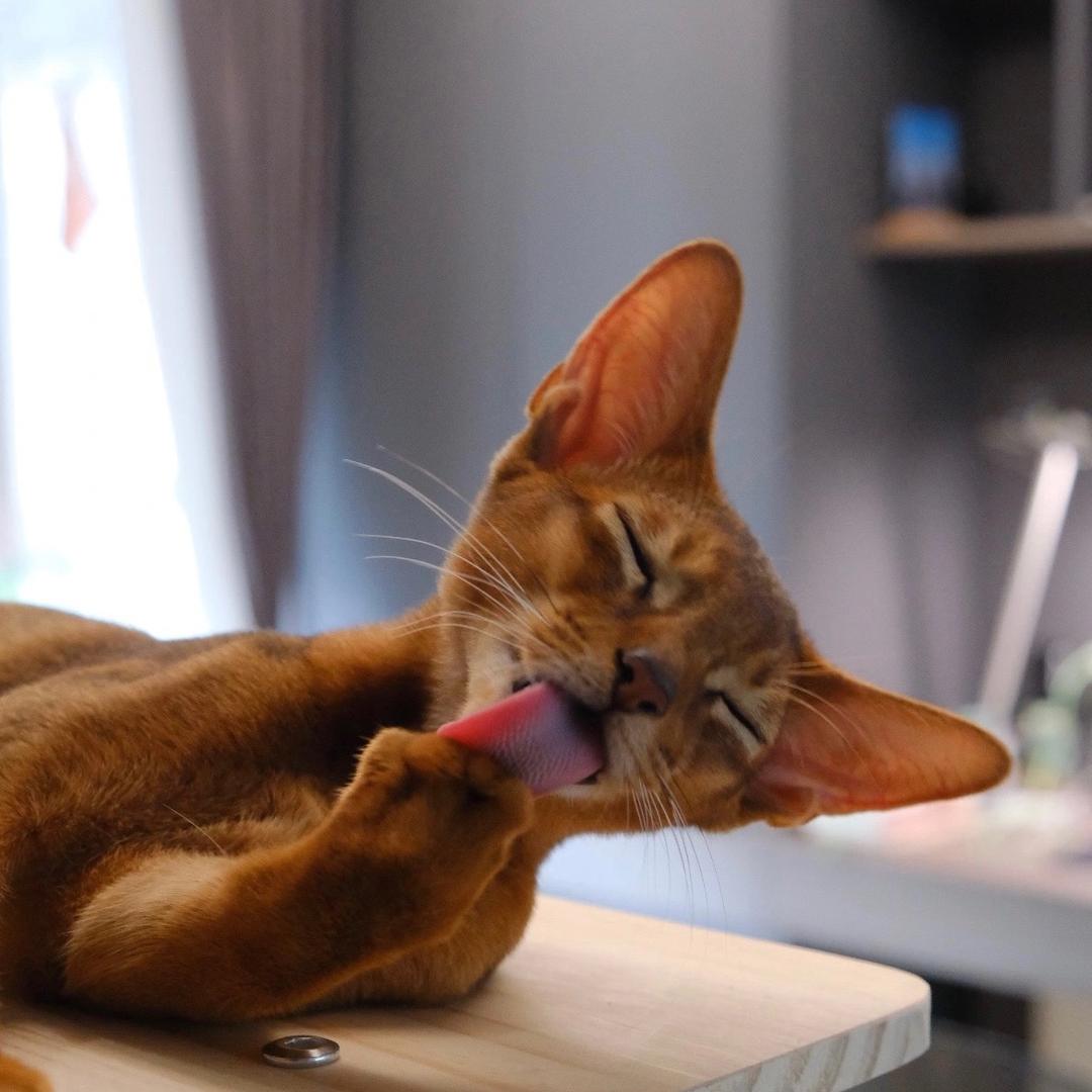 郑州启辰文韵文化传媒有限公司