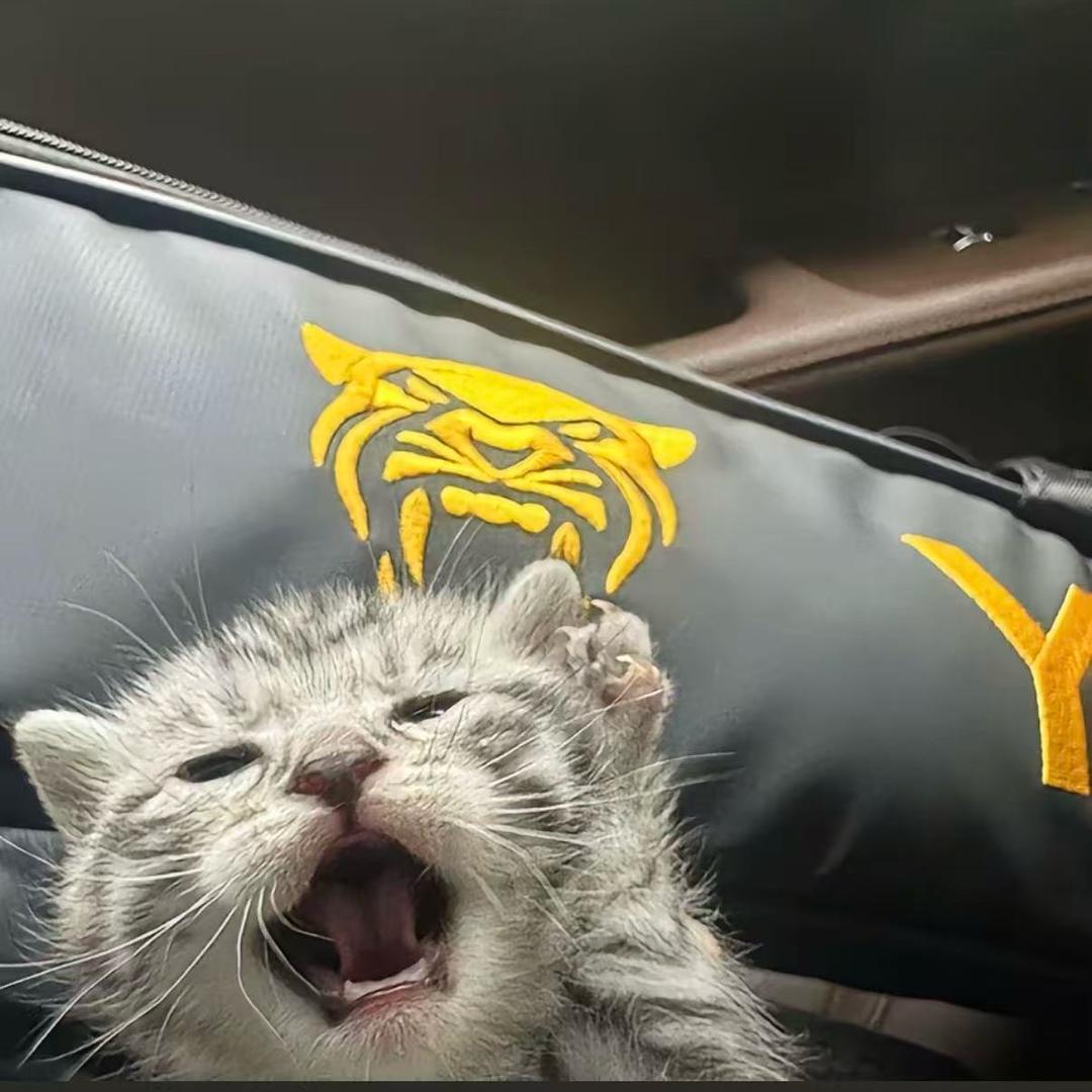 邵东展望台球器材（富泉花园对面）