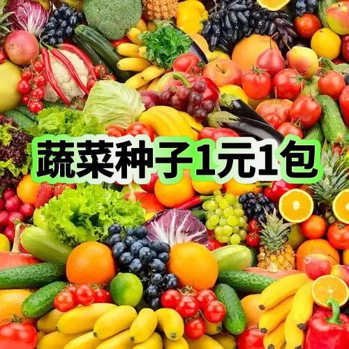 农益种子基地