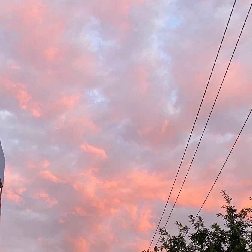 惹人生气大赛第一名