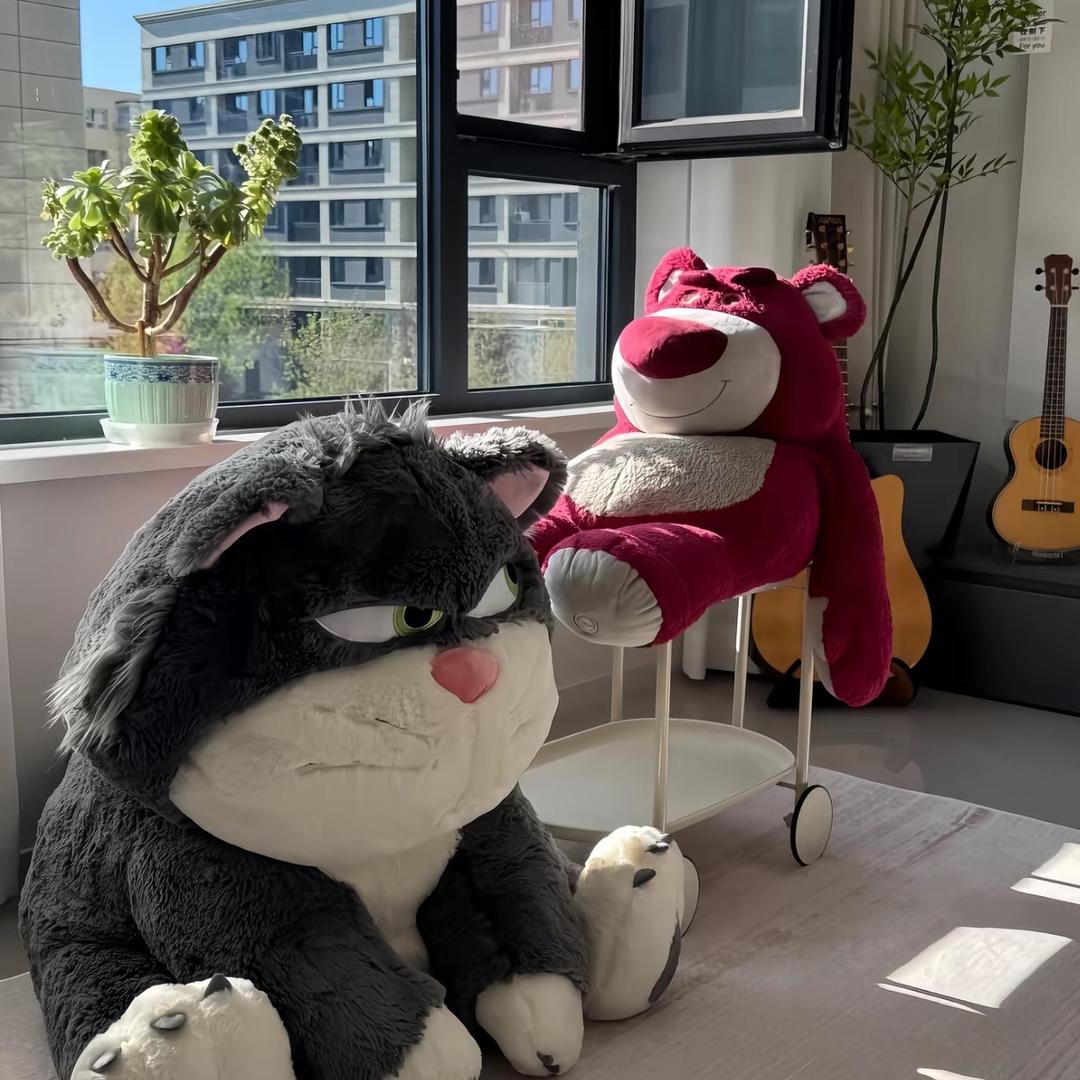 不吃苦瓜❤️