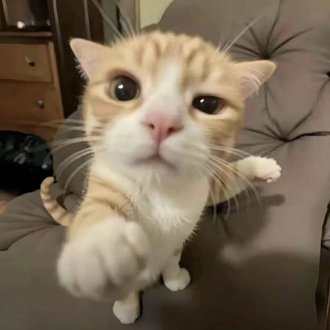 省省吧！