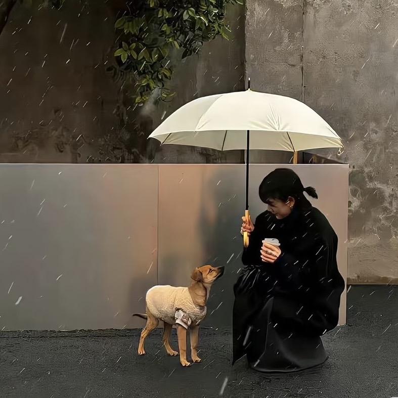 小小.