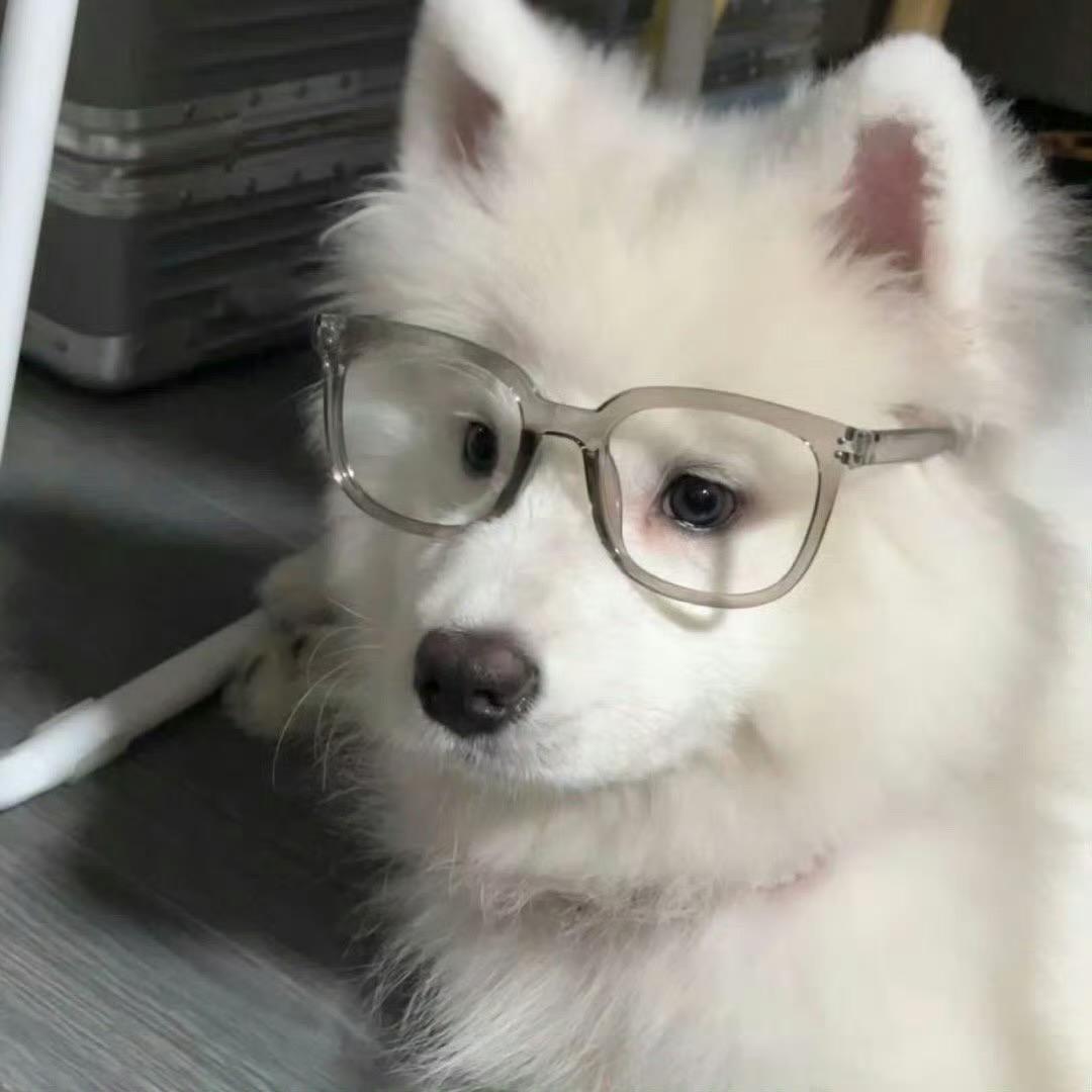 我白猫呢