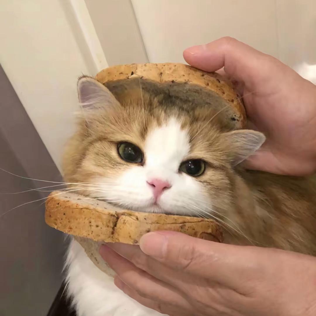 🍔