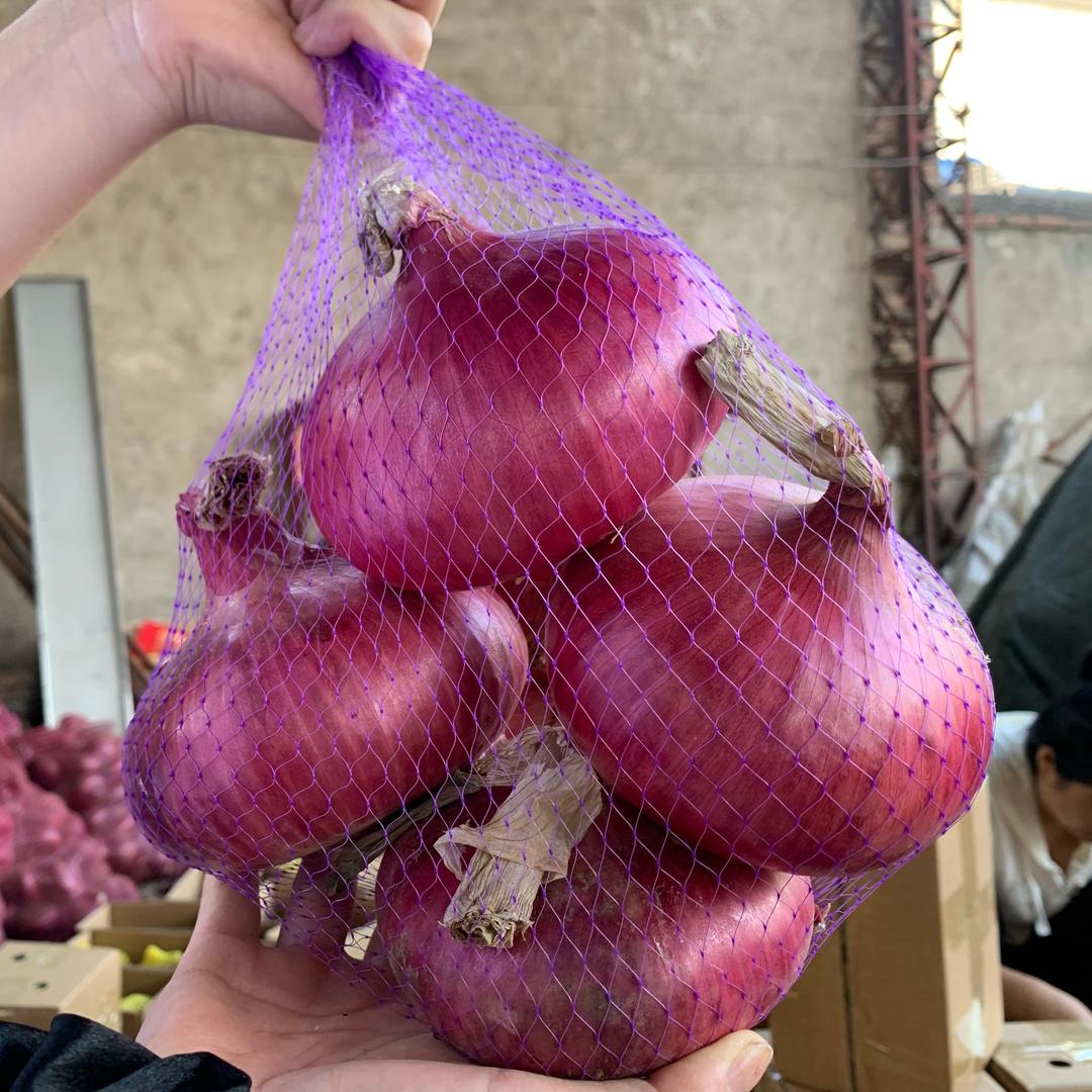 农家特产-洋葱