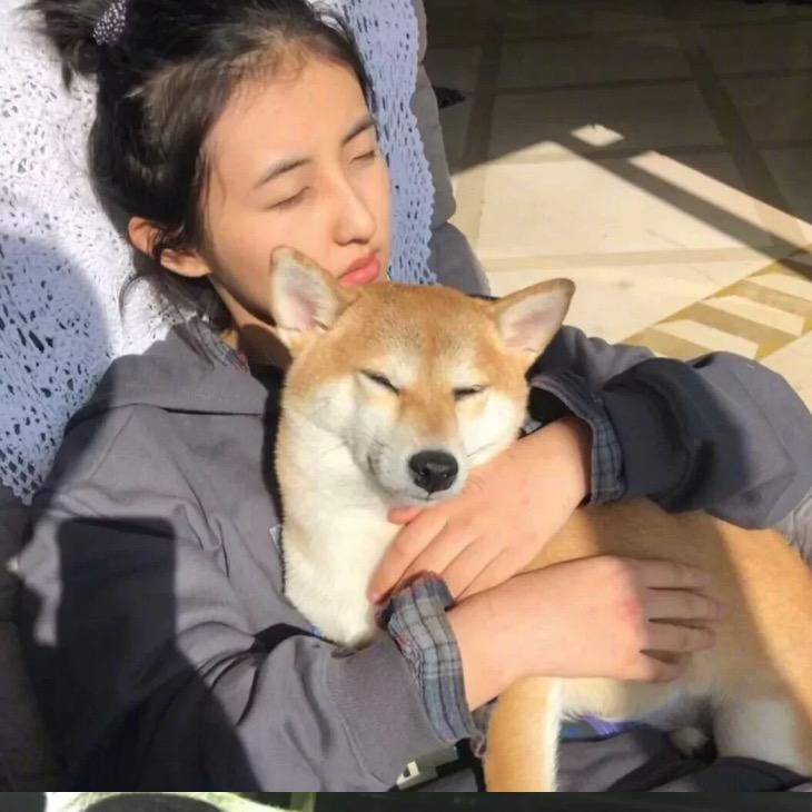 会背九九乘法表