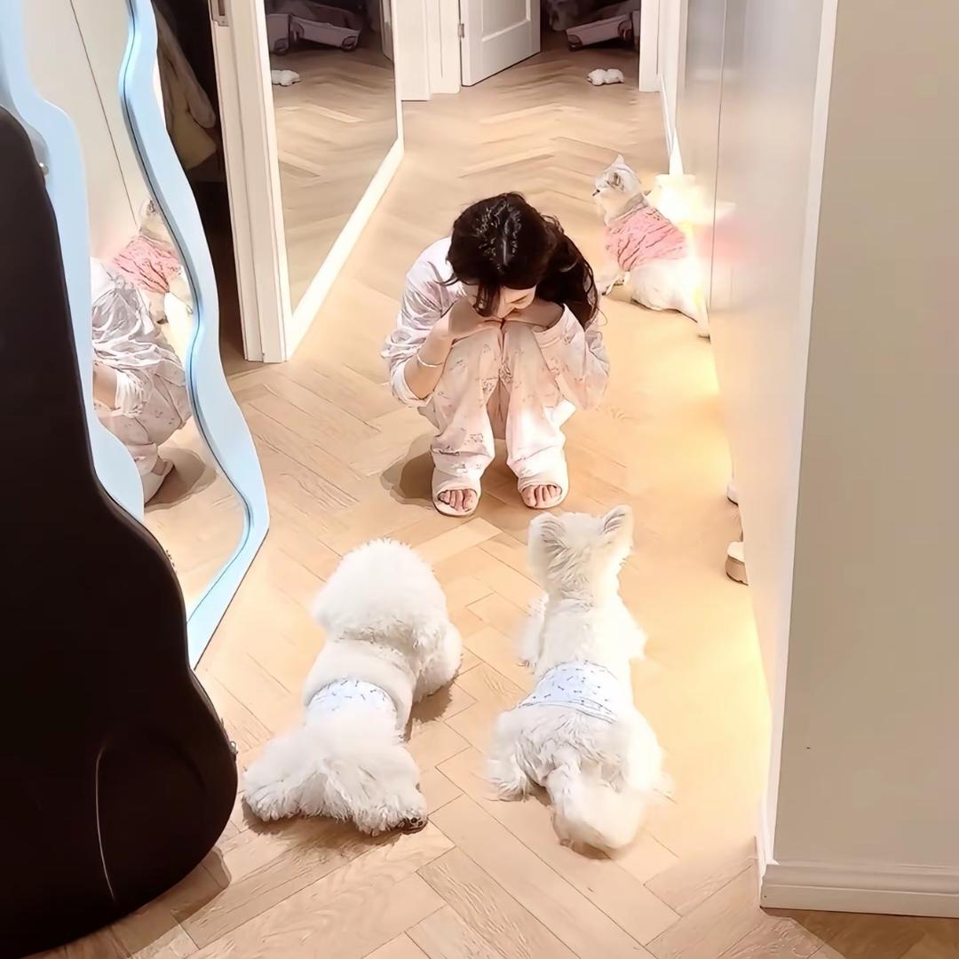 我什么都不知道诶