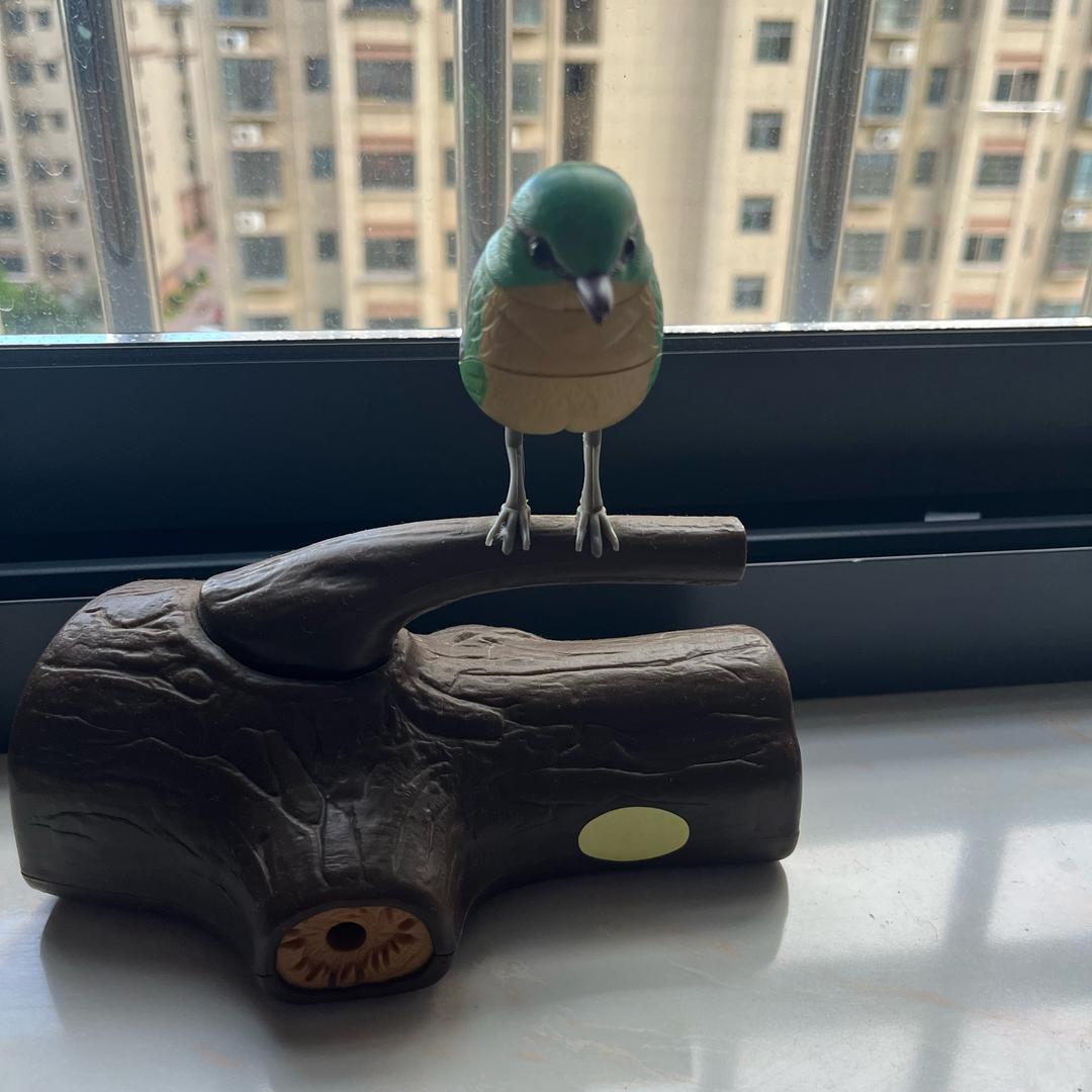 傻丫头❤️
