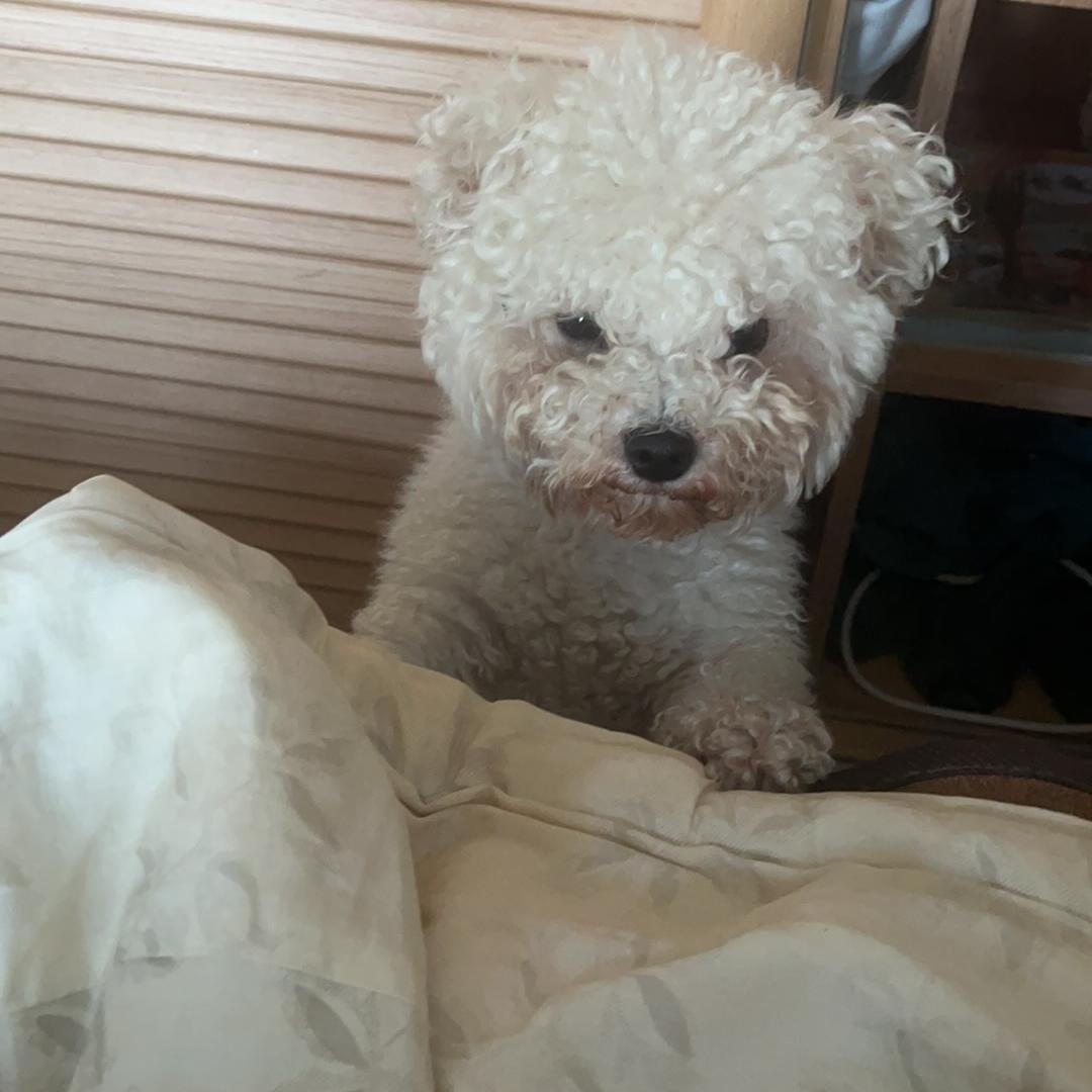 潼南醉初小酒馆
