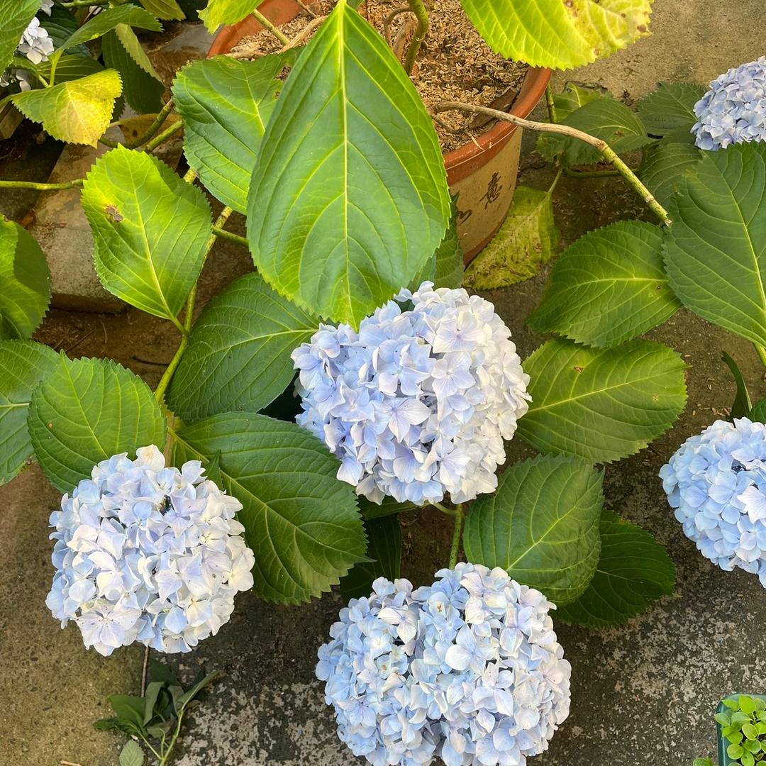 ꧔ꦿ࿐้洪绿灯乐而不黄꧔ꦿ᭄💞