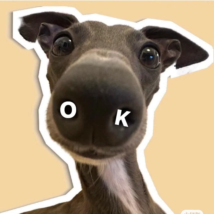IS mango🥭